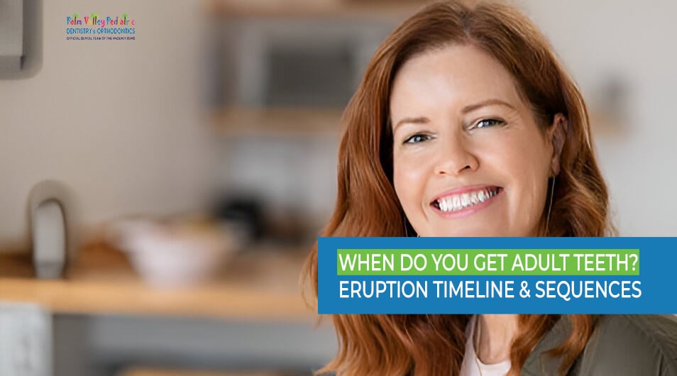 When Do You Get Adult Teeth? Tooth Eruption Stages